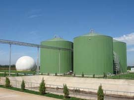 Biogas